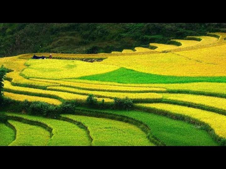 Hotspot Matrix: Biến Thế hệ sống