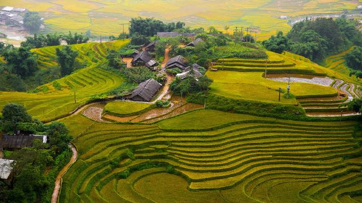Từ