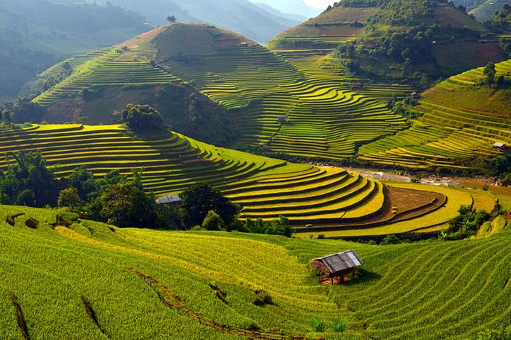 Mỹ Tâm: Họa mi tóc nâu và mối quan hệ với học trò