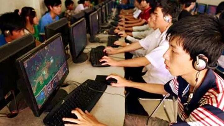 Bonobo: Nguồn Gốc Tiến Hóa Của Ngôn Ngữ Con Người?