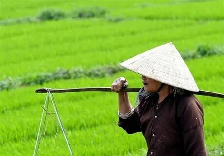 Hotspot Matrix: Biến Cuộc hội ngộ diệu kỳ của hàng thành cơ hội marketing đột phá