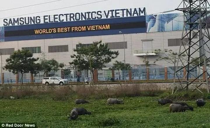 Hotspot Matrix và việc ôm con